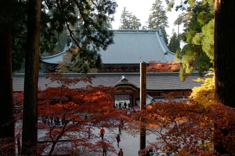 延暦寺根本中堂。信長の焼き打ちの後、家光が再建した。寛永期の建築。