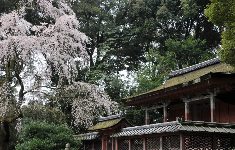 醍醐寺