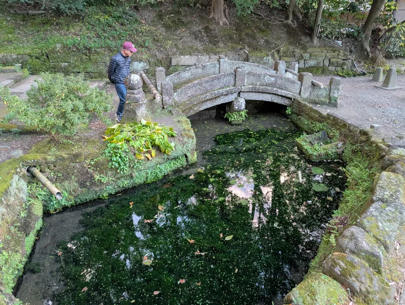 鎌倉五山の一つ、浄智寺の境内風景。