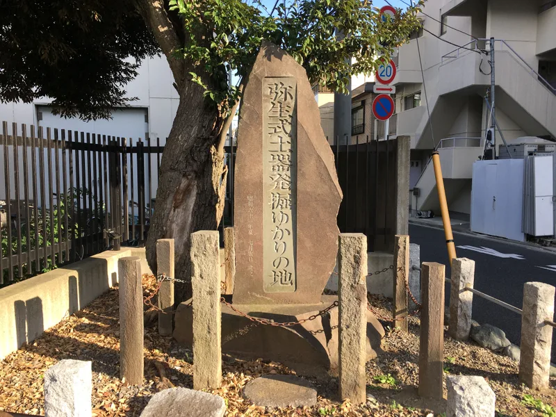 向ヶ丘貝塚