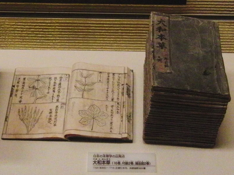 貝原益軒『大和本草』日本の本草学の出発点