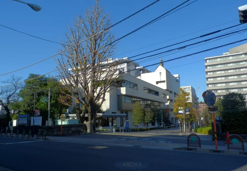 北里大学