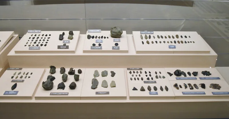 月見野遺跡群から出土した石器・土器(明治大学博物館展示)