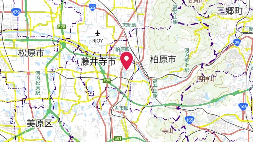 国府遺跡の位置