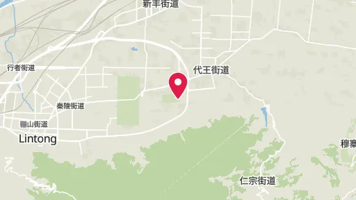 兵馬俑の位置
